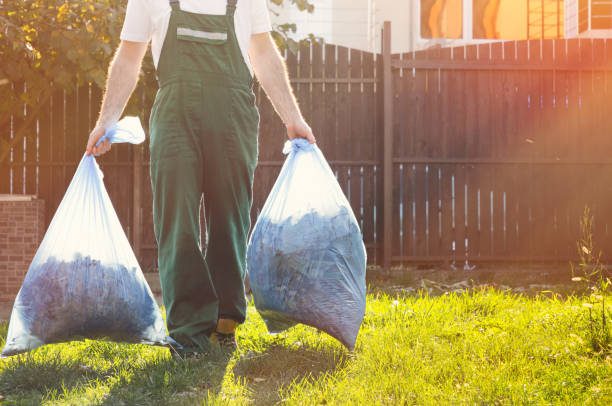 Best Office Cleanout  in Elkton, KY