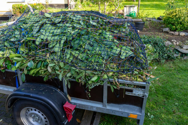 Best Estate Cleanout  in Elkton, KY